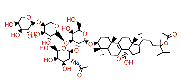 Eryloside W